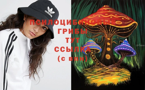 Альфа ПВП Алзамай