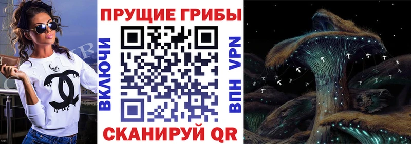Галлюциногенные грибы MAGIC MUSHROOMS  Малаховка 